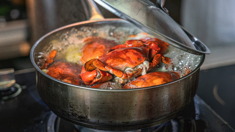 A pot with its lid slightly open, filled with whole crabs