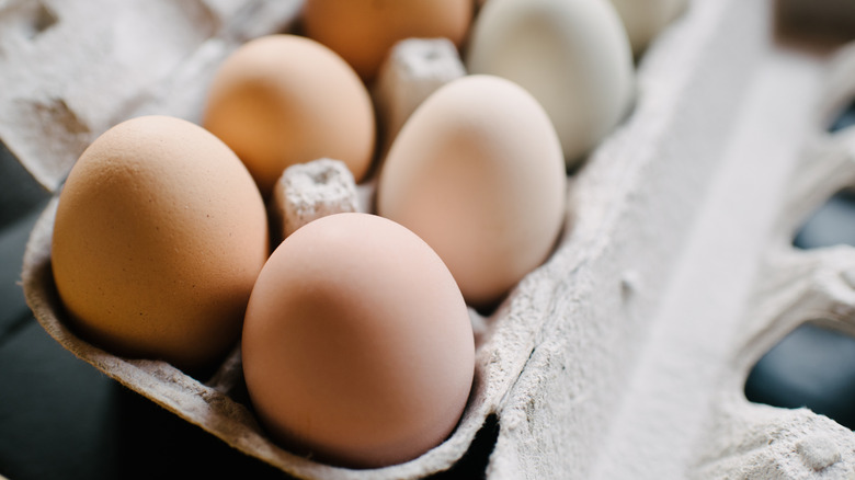 Carton of eggs