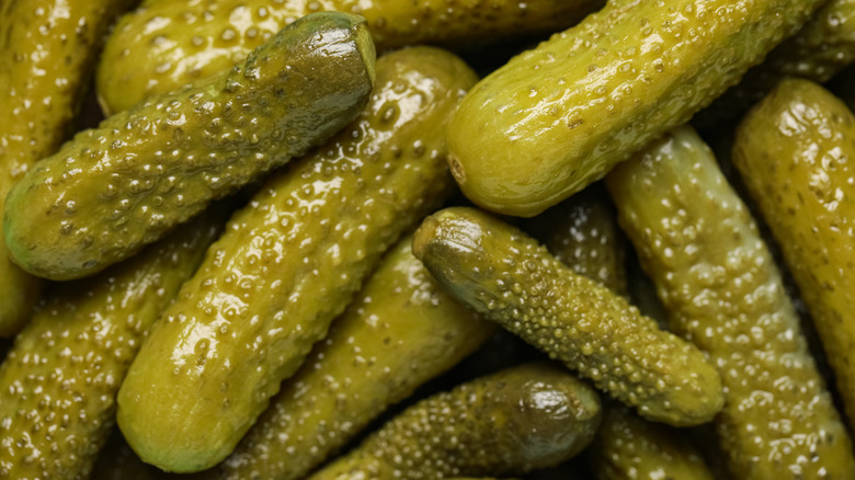Texture of tasty pickled cucumbers as background