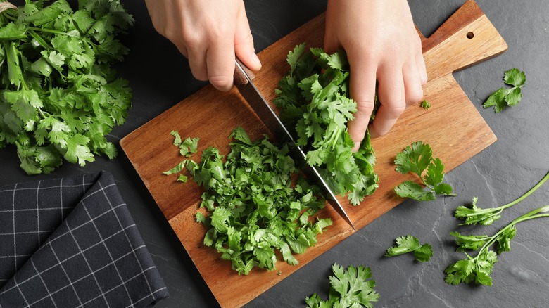 chopping cilantro on cutting board