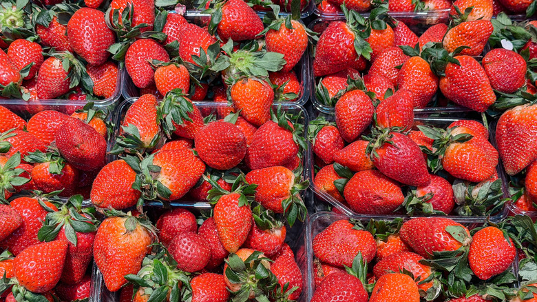 Plastic containers filled with strawberries at a market.