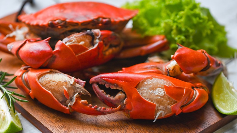 Fresh crab on wooden board