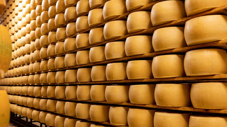 rows of cheese