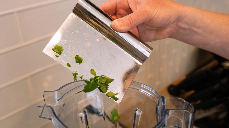 Close up of hand holding stainless steel scraper with herbs over blender
