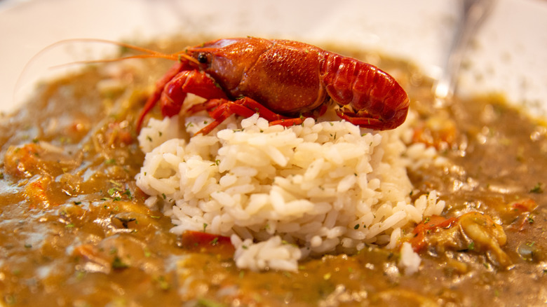 Close-up of crawfish étouffée and rice on a white plate, garnished with a whole crawfish