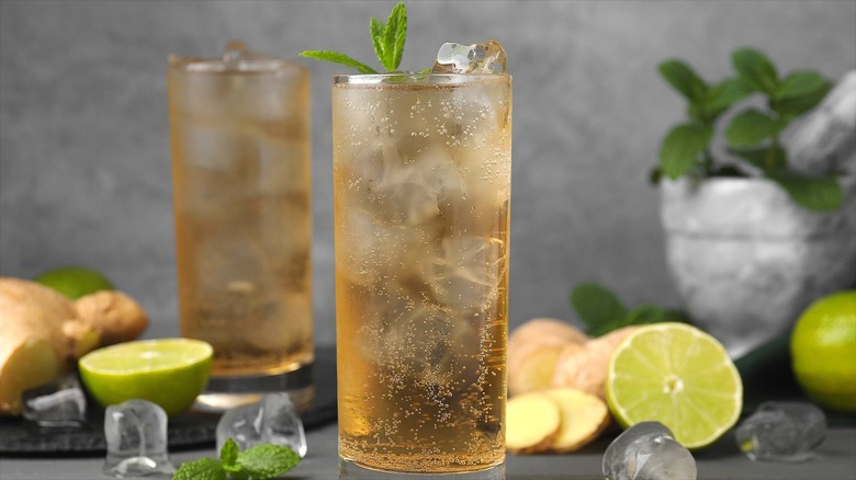 Tall glass of ginger ale with ice cubes and mint surrounded by halved citrus fruits and ginger slices