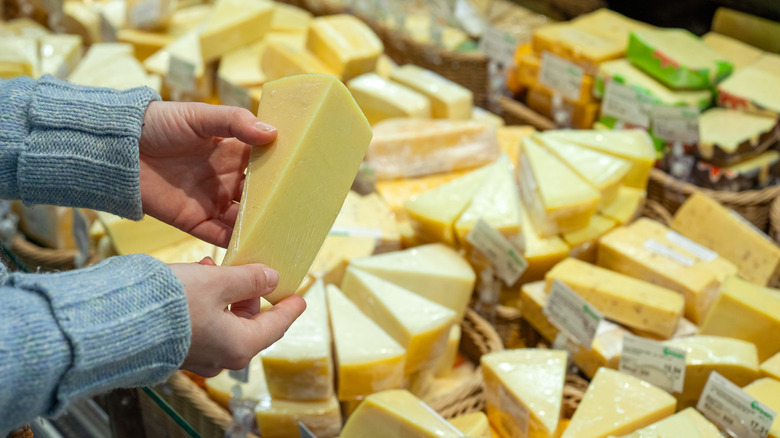 Person holding a wedge of cheese above other wedges and blocks