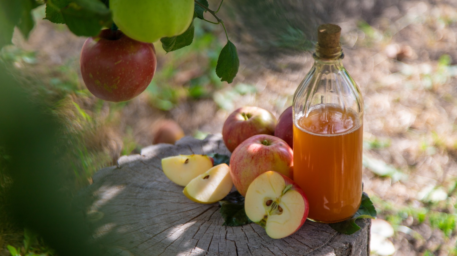Why Health Officials Warn Against Drinking Unpasteurized Apple Cider
