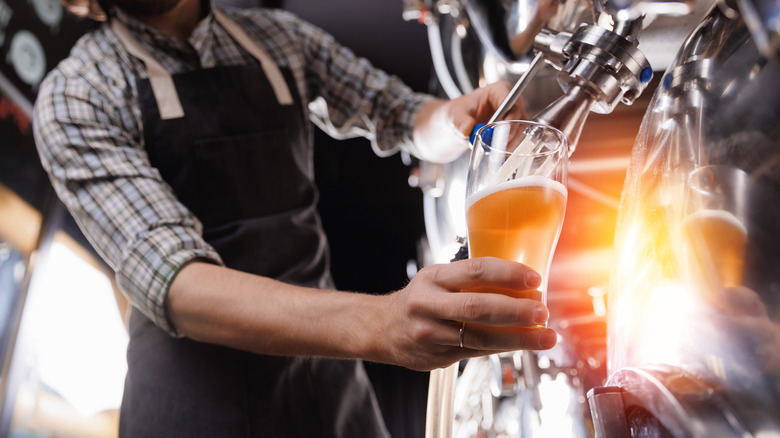 Expert brewer in apron holds glass and control quality of craft beer, banner with copy space.