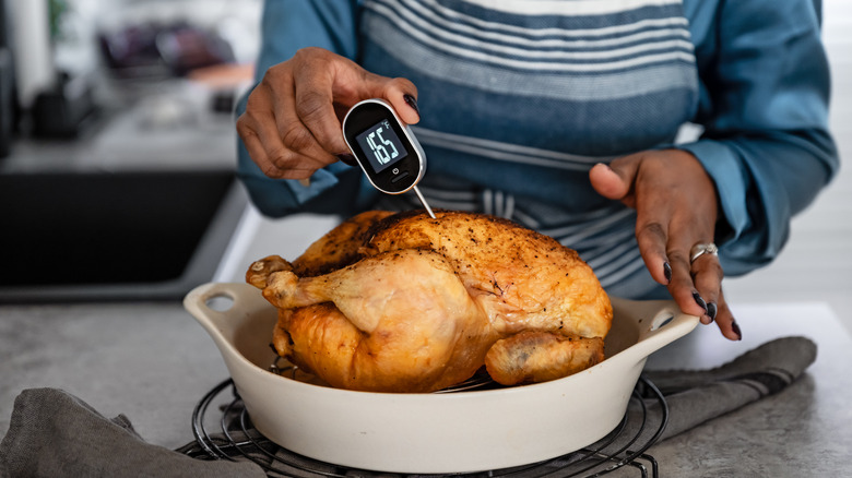 Taking temperature of cooked chicken