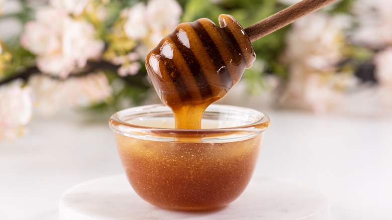 manuka honey dripping off of a dipper