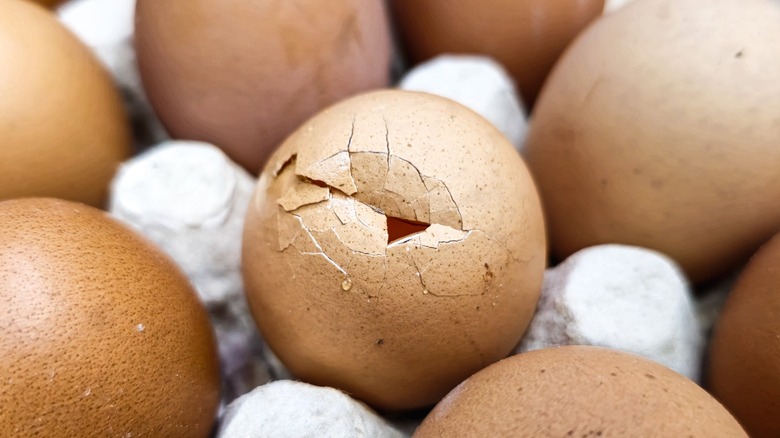 Cracked egg in carton