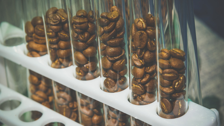 Coffee bean doses in vials