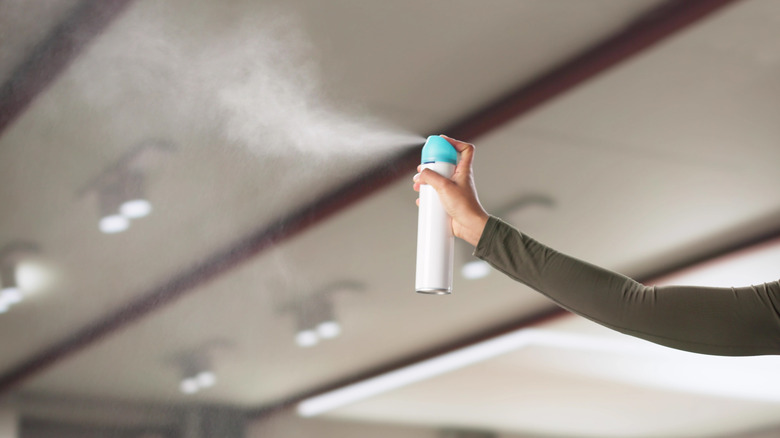 A human spraying an air freshener in a living room.