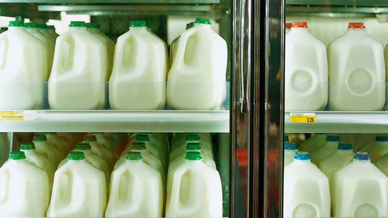 Gallons of milk in grocery store
