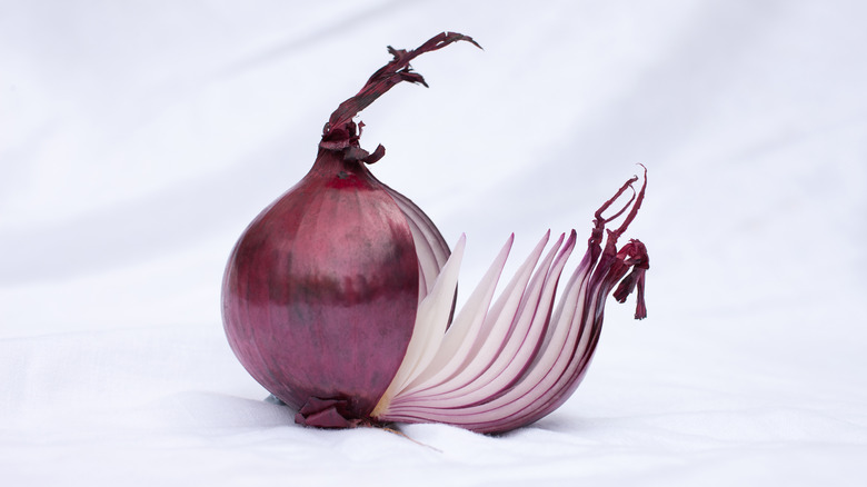 Sliced onion