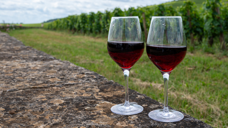 Two glasses of pinot noir wine sitting on a stone wall.
