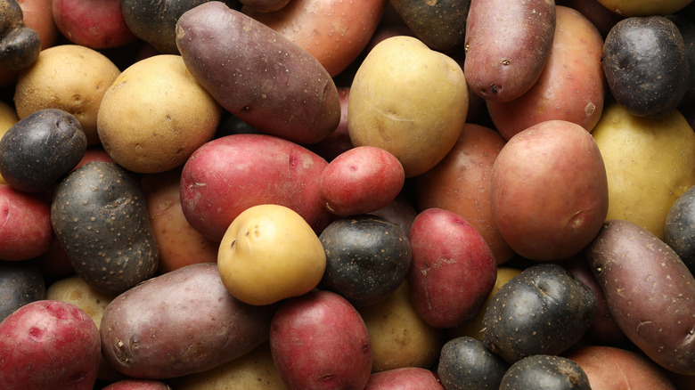 Blended variety of different types of potatoes.