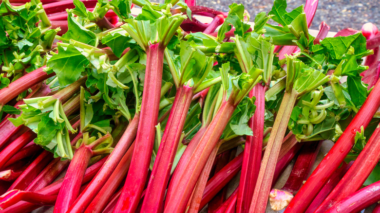 Pile of rhubarb stems laid out in a row on a wood table.