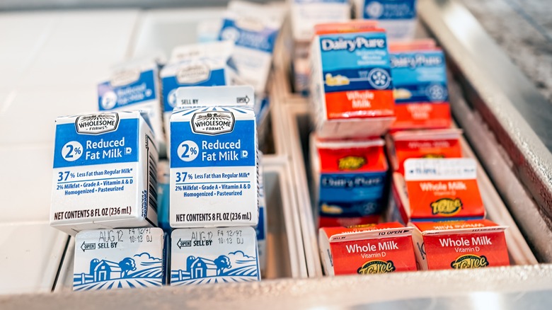 cartons of school milk