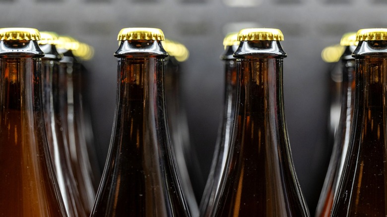 Beer bottles stored in fridge