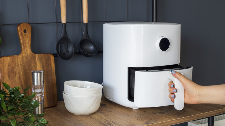 Person opening an air fryer