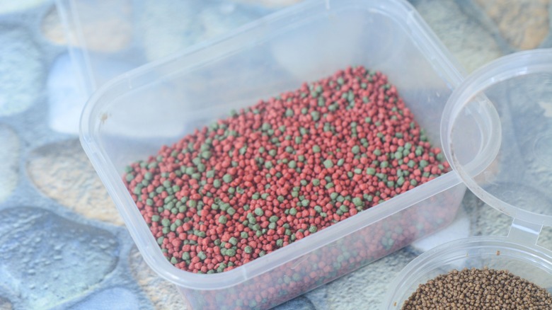 Salmon feed with astaxanthin pigment added