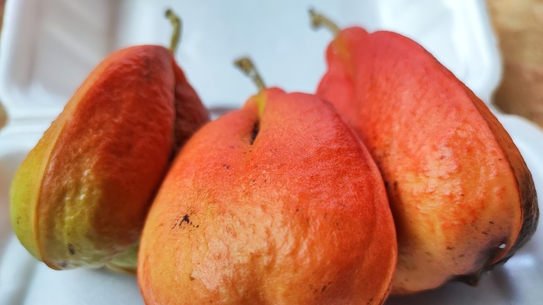 Jamaica Ackee Fruit