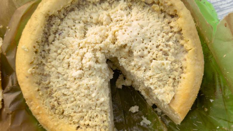 A wheel of casu marzu cheese with a wedge missing.