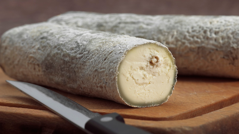 A close up of a log of Sainte-Maure de Touraine cheese with the stick visible inside.