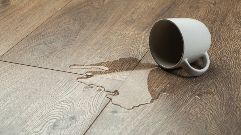 Spilled water from a cup on a kitchen floor.