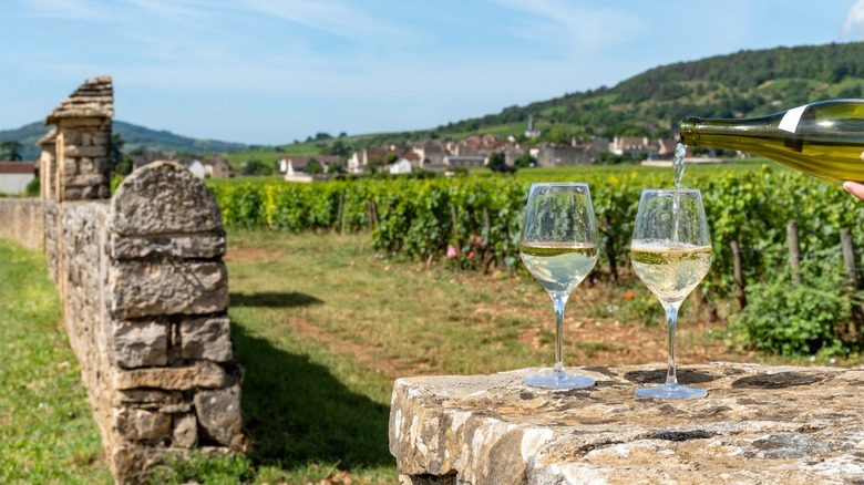 Glasses of wine on a stone wall at a vineyard.