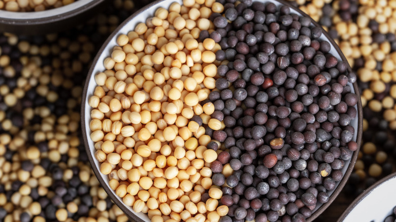 A bowl containing yellow and brown mustard seeds.