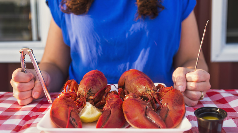 A person in a blue shirt holds a lobster pick and cracker, with two whole lobsters laid out before them