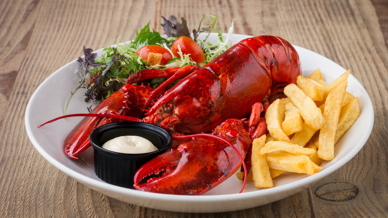 A cooked lobster plated with salad, fries, and a small serving of dip