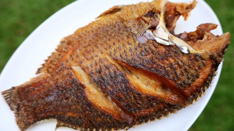 A whole fried tilapia on a plate