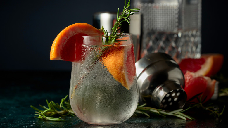 Gin and tonic with grapefruit and rosemary, bar tools in background.