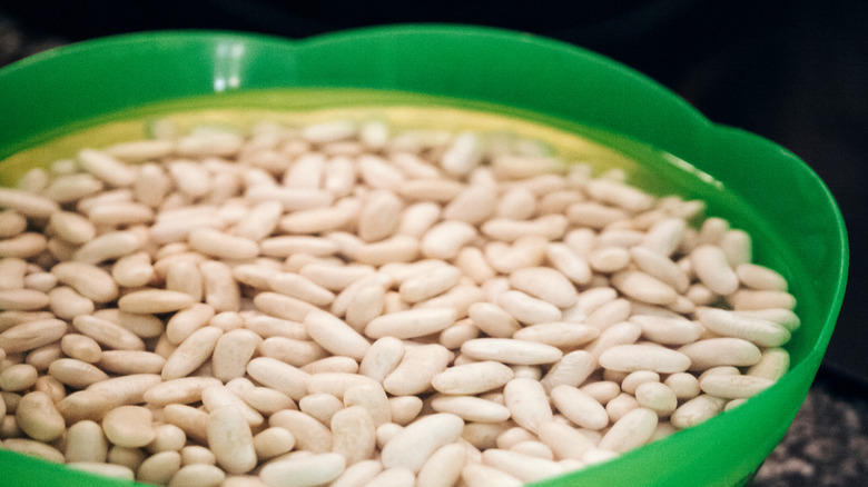 beans soak in a green bowl full of water