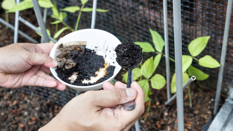 coffee grounds added to plants
