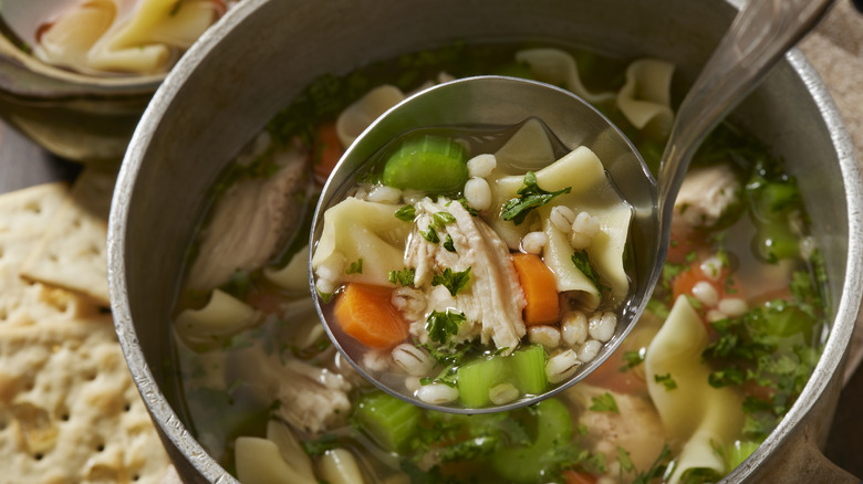A ladle of chicken, vegetable and barley soup