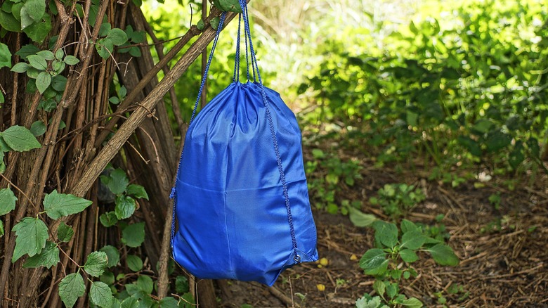 Blue nylon bag hanging from tree branch at campsite
