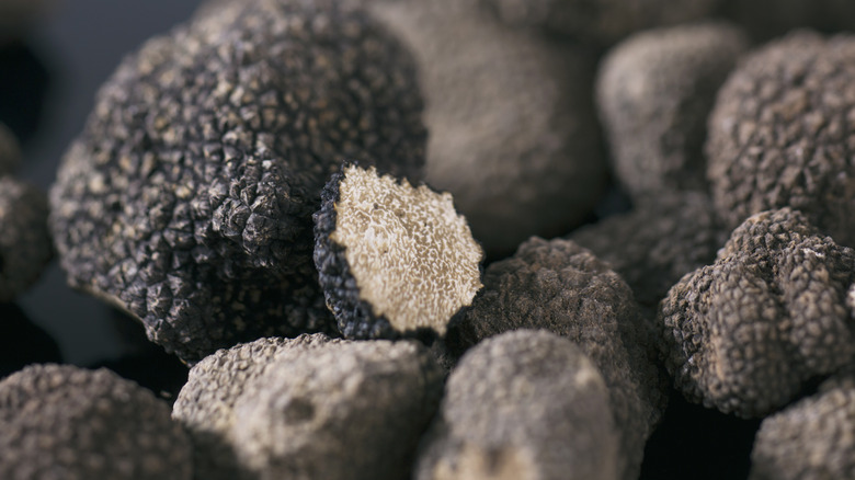 Close-up of black truffles