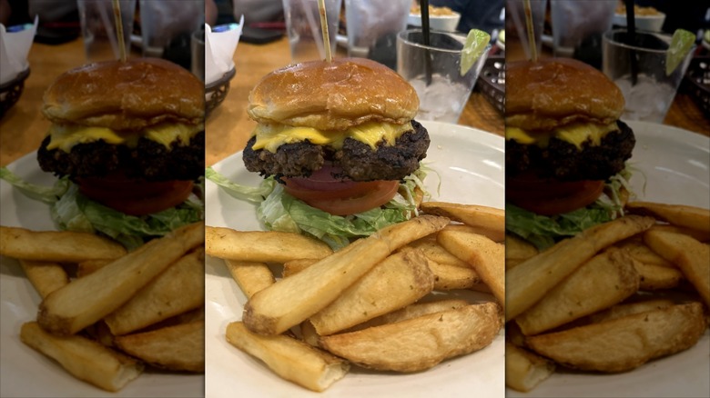 A customer's cheeseburger with fries at Texas Roadhouse
