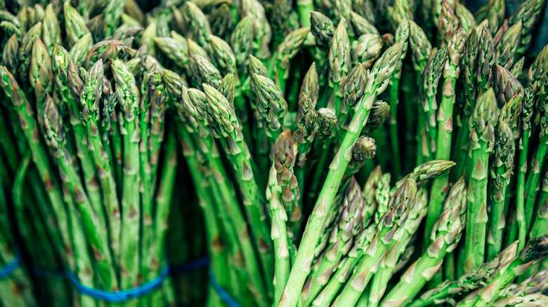 bundles of asparagus stalks