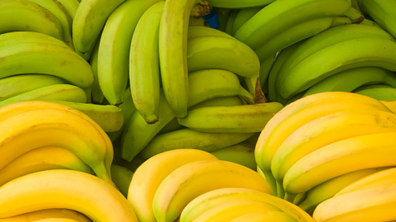 Green bananas and yellow bananas in a pile