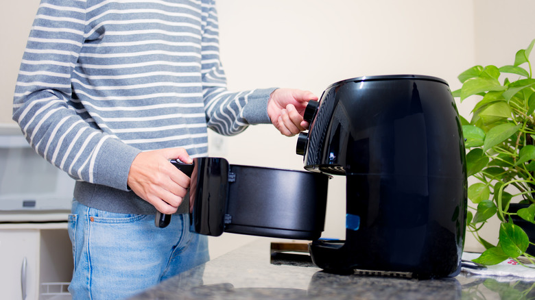 Person using an air fryer