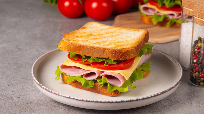 close up of a sandwich with tomatoes and cheese