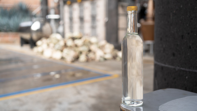 pictured clear bottle of tequila