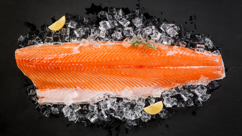 Fresh salmon sitting atop ice cubes on a black surface with lemon wedges