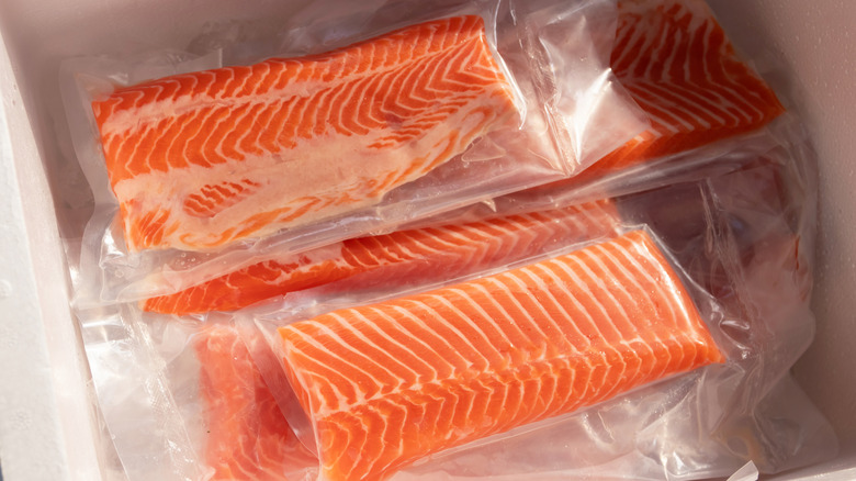 Packs of vacuum-sealed frozen salmon in a freezer